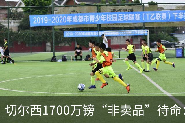 切尔西1700万镑“非卖品”待命：大马丁伤退，冬窗会补门将吗？
