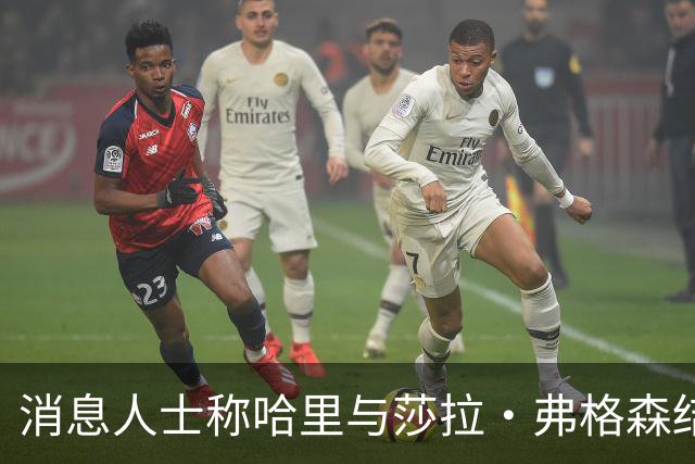 消息人士称哈里与莎拉·弗格森结成"秘密同盟"